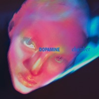 Fontaines D.C. - marianne