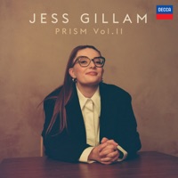 Georg Philipp Telemann - concerto in d major for transverse flute, strings and basso continuo - iv. allegro