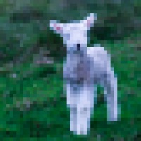 Lamb - milo and the travelers