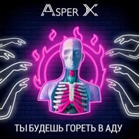 Asper X - monsta