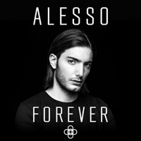 Alesso - get your groove on