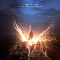 Awaken I Am - roses