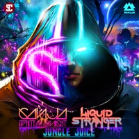 Liquid Stranger - wreck it