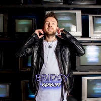 Radiolife - осторожно, листопад