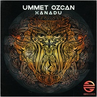 Ummet Ozcan - simulation