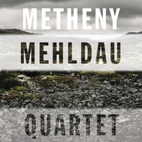 Pat Metheny - and i love her