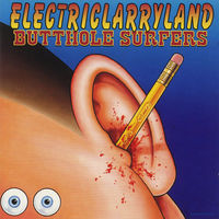 Butthole Surfers - the shame of life