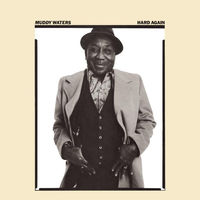 Muddy Waters - i'm a king bee