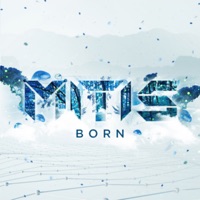 MitiS - endeavors