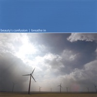 Beauty's Confusion - moments like these