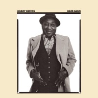Muddy Waters - got my mojo working