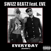 Swizz Beatz - stunt (saint punk rmx)