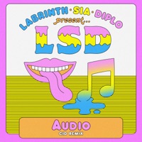 LSD - no new friends (dombresky rmx)