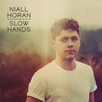Niall Horan - on the loose