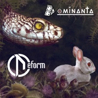 Deform - в ожидании весны