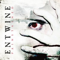 Entwine - chameleon halo