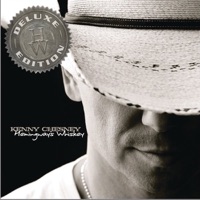 Kenny Chesney - save it for a rainy day