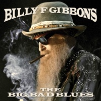 Billy Gibbons - got love if you want it