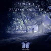 Dj Rostej - memories (original)