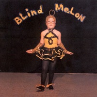 Blind Melon - no rain
