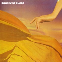 Roosevelt - teardrops