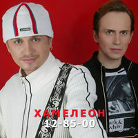 Хамелеон - дорожная