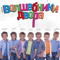 Волшебники Двора - моем