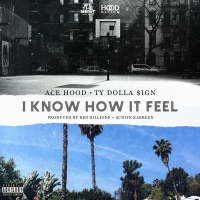 Ace Hood - walk it like i talk it