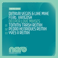 Dimitri Vegas - higher place (tujamo rmx)