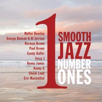 Chuck Loeb - starting over