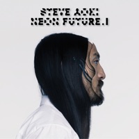 Steve Aoki - lie to me (nicky romero rmx)