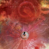 Animals as Leaders - thoroughly at home