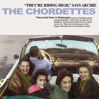 The Chordettes - mr. sandman