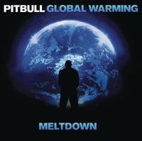 Pitbull - time of our lives