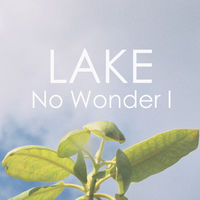 Lake - what they say (ian tosel remix)