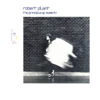 Robert Plant - big log