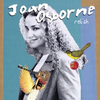 Joan Osborne - one of us (short version)