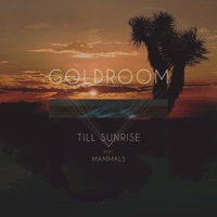Goldroom - till sunrise (mysto pizzi rmx)