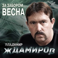 Владимир Ждамиров - разведённые