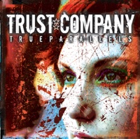 TRUSTcompany - downfall