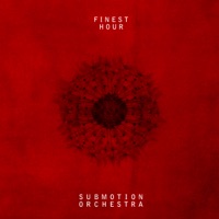 Submotion Orchestra - needs (seb wildblood remix)
