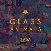 Glass Animals - tangerine