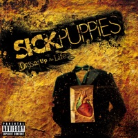 Sick Puppies - odd one