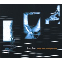 Evolve - where were you (sunday afternoon mix)