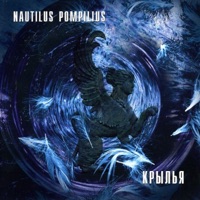 Nautilus Pompilius - шар цвета хаки