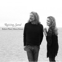 Robert Plant - hurting kind (i've got my eyes on you)