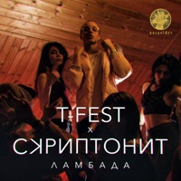 T-Fest - молодость