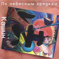 Павел Кашин - спасибо, не надо