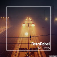 Data Rebel - plink