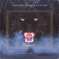 Vincenzo Salvia - waiting for the night